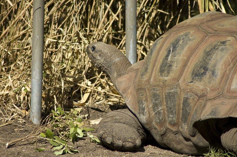 zoo_43 [800x600].jpg